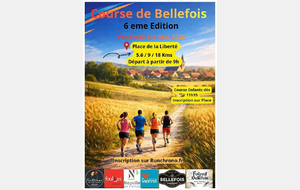 COURSE DE BELLEFOIS (NEUVILLE 86)