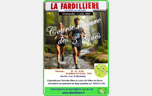 LA FARDILLIERE A VILLIERS AU BOUIN (37)