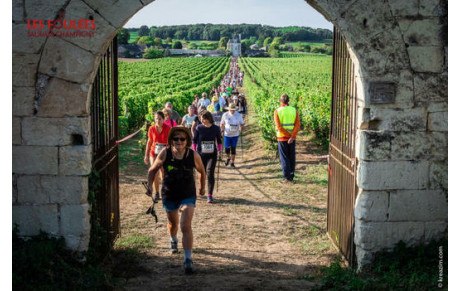 FOULEES SAUMUR CHAMPIGNY